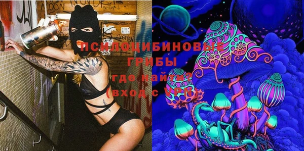 синтетический гашиш Краснослободск