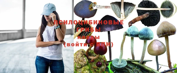 ALPHA-PVP Краснотурьинск